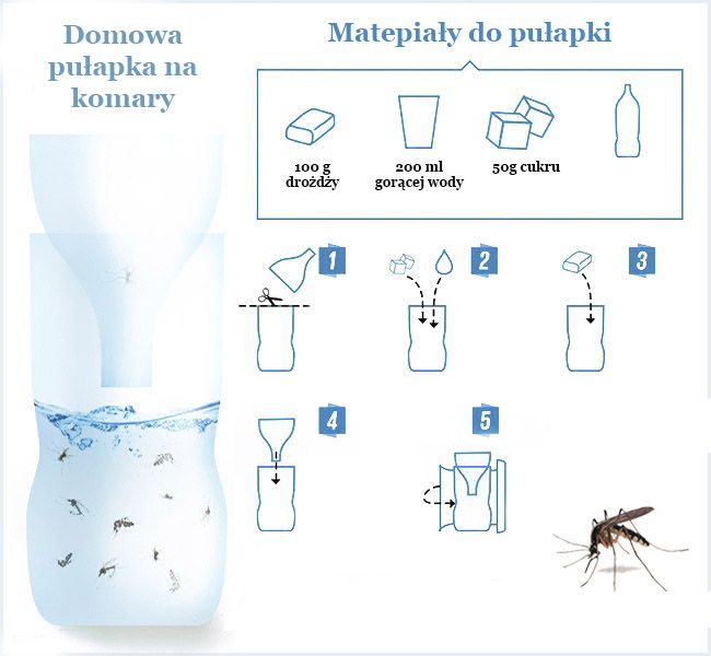 10 способов борьбы с комарами и их укусами 5.