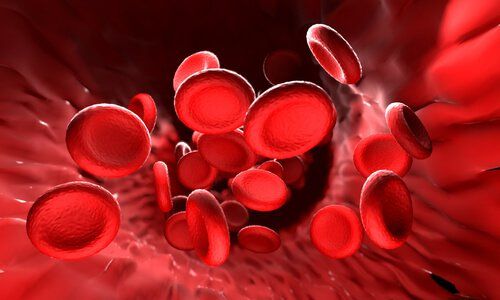 Эритроциты - сгустки крови в течение периода